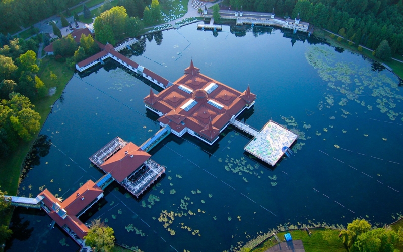 Lake Heviz: winter swimming among blooming lotuses