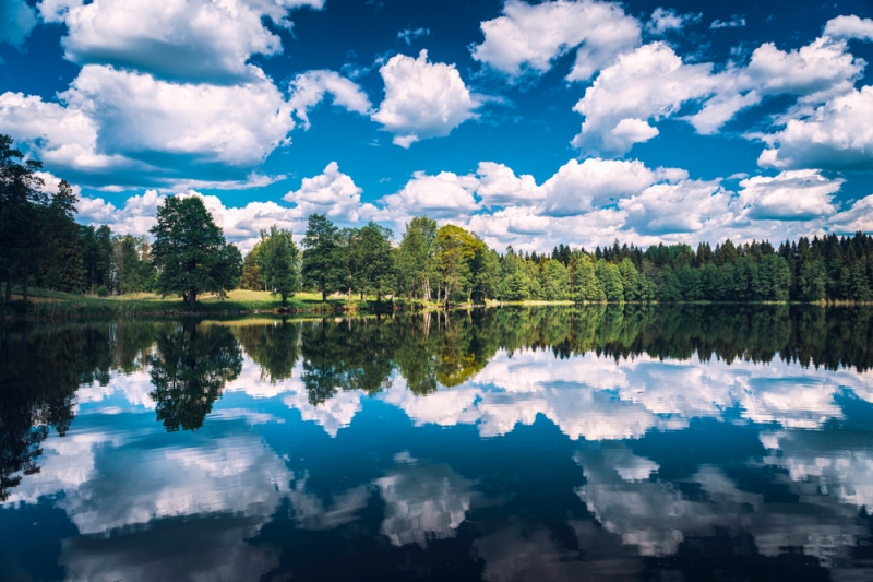 Let&#39;s go for a swim: 10 beaches where Muscovites can relax this summer