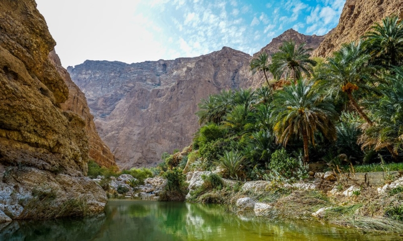 Mysterious Oman: dunes, forts, canyons and palm trees on the shore of the bay