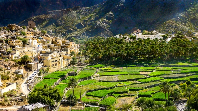 Mysterious Oman: dunes, forts, canyons and palm trees on the shore of the bay