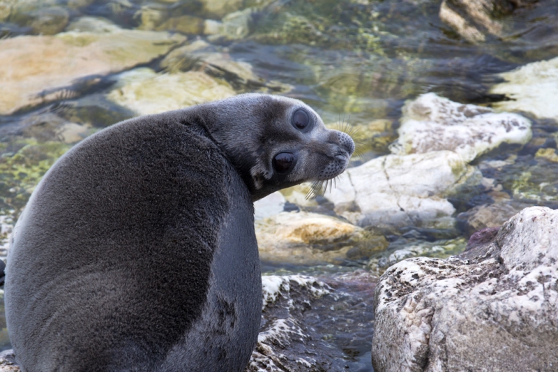 Nine reasons to go to Baikal this summer