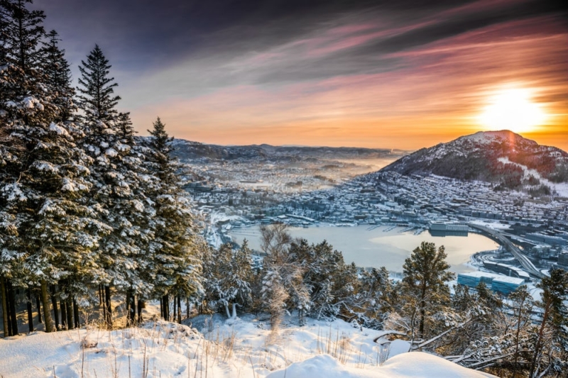 Norway in winter: whales, fjords and northern lights