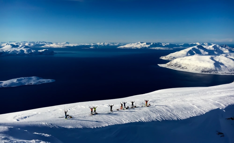 Norway in winter: whales, fjords and northern lights