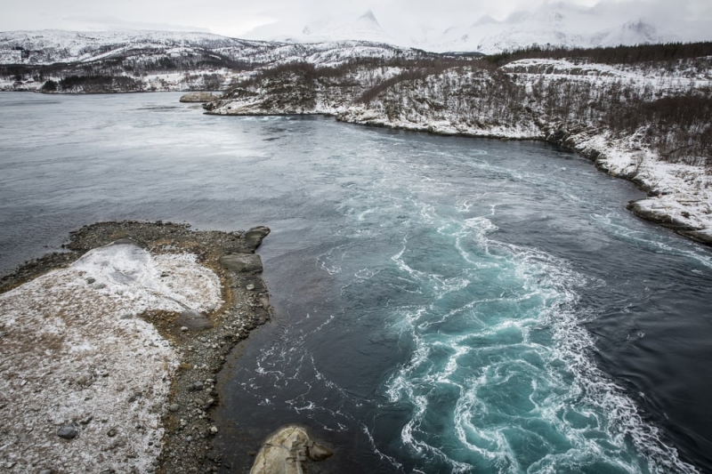 Norway in winter: whales, fjords and northern lights