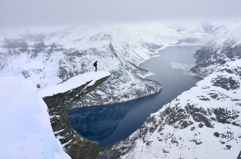 Norway in winter: whales, fjords and northern lights