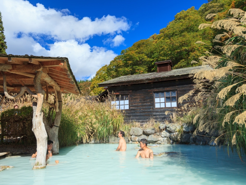 Pleasure for the body: Japanese onsen