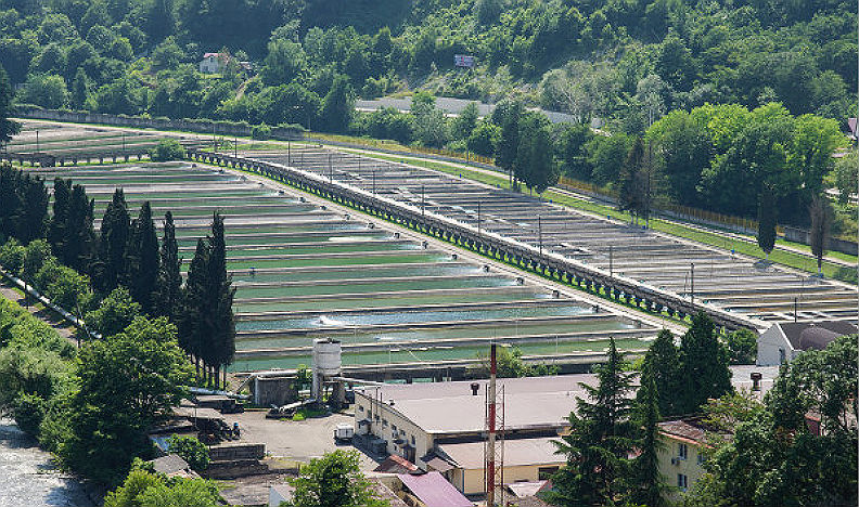 Road trip route from Sochi: gorges, waterfalls, boxwood groves and bungee jumping