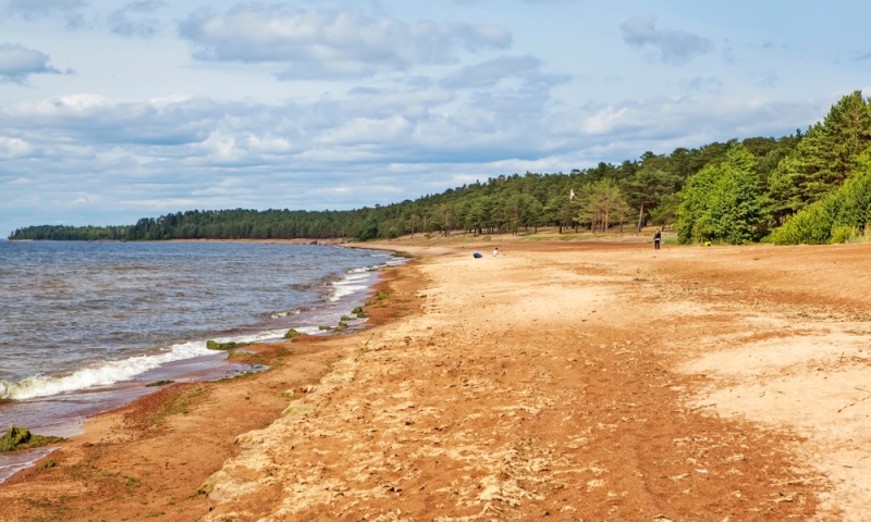 Sand and seagulls: beaches of the Gulf of Finland