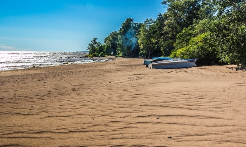 Sand and seagulls: beaches of the Gulf of Finland