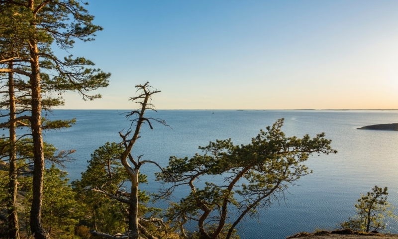 Sand and seagulls: beaches of the Gulf of Finland