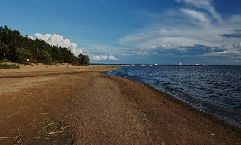 Sand and seagulls: beaches of the Gulf of Finland