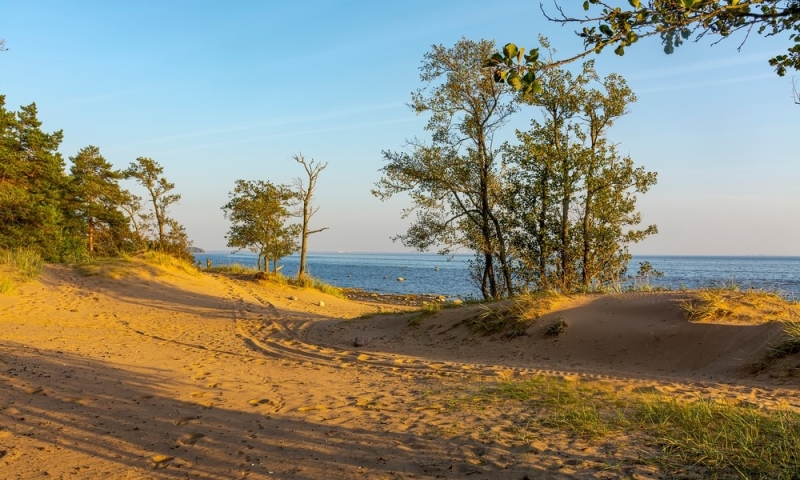 Sand and seagulls: beaches of the Gulf of Finland