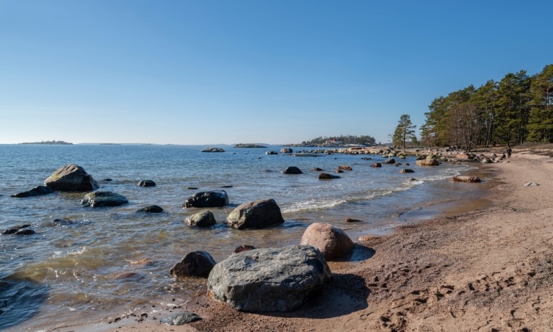 Sand and seagulls: beaches of the Gulf of Finland