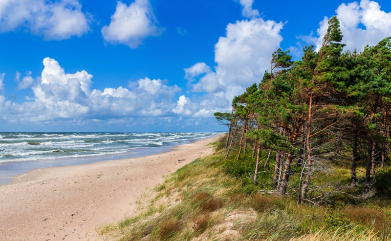 The Baltic Sea, pine trees and bicycles: we are going to Palanga, Lithuania