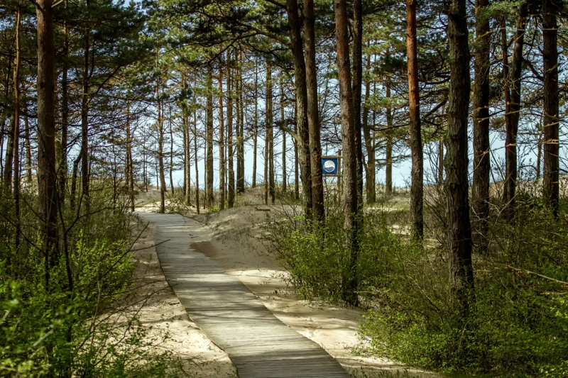 The Baltic Sea, pine trees and bicycles: we are going to Palanga, Lithuania