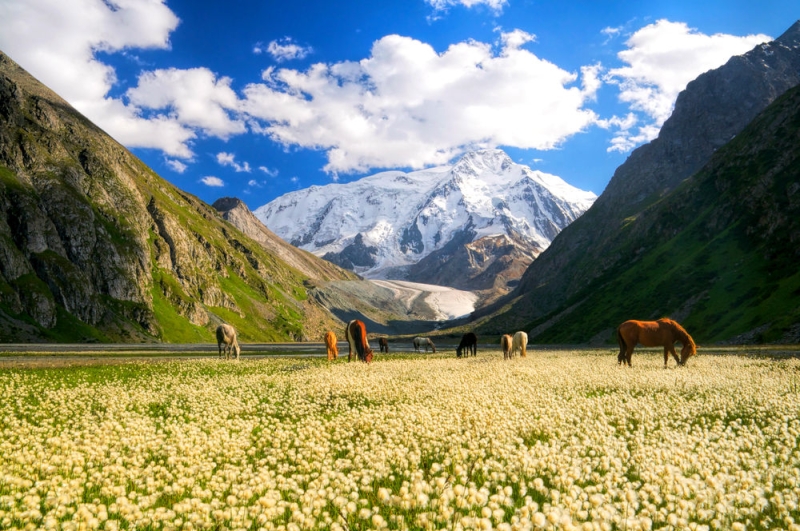 The beauty of Kyrgyzstan: the museum of petroglyphs, thermal springs and high-mountain pastures “jailoo”