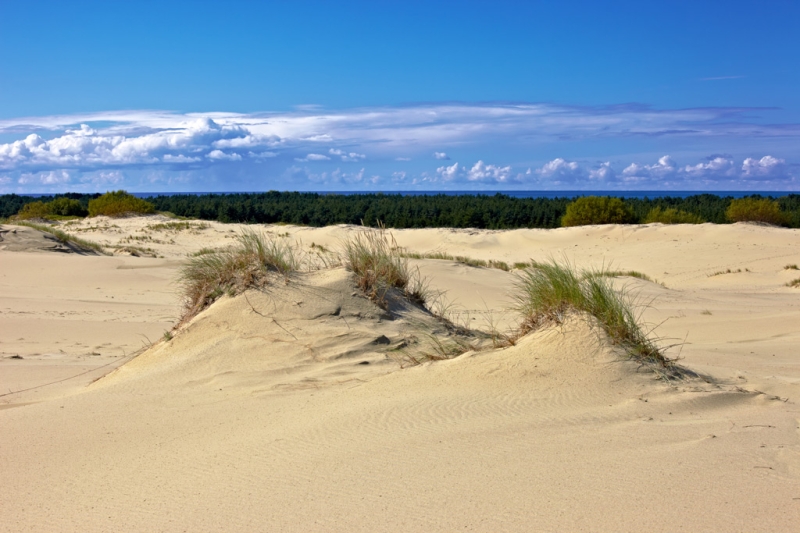 The delicate balance of the Curonian Spit. Lessons from Russia&#39;s smallest national park