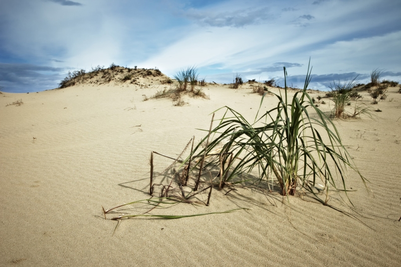 The delicate balance of the Curonian Spit. Lessons from Russia&#39;s smallest national park