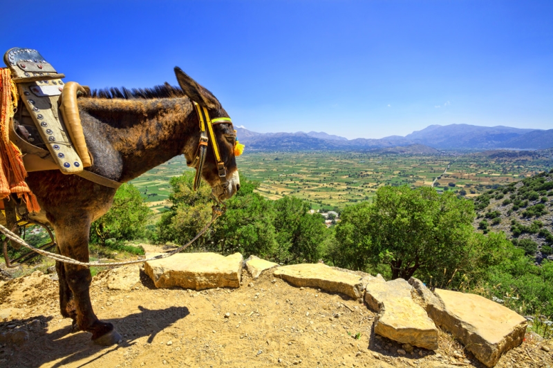 The most interesting sights of Crete