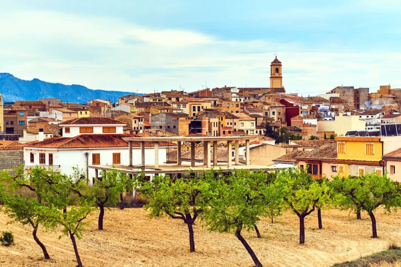 Travel route by car from Barcelona: Cistercian monasteries and wineries of Priorat