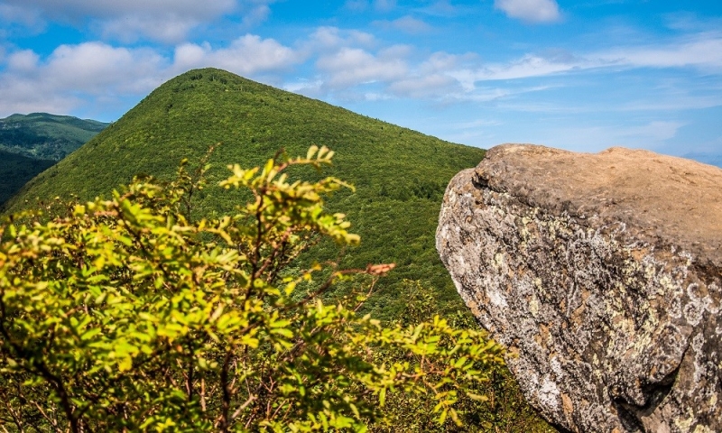 Travel to the south of Sakhalin