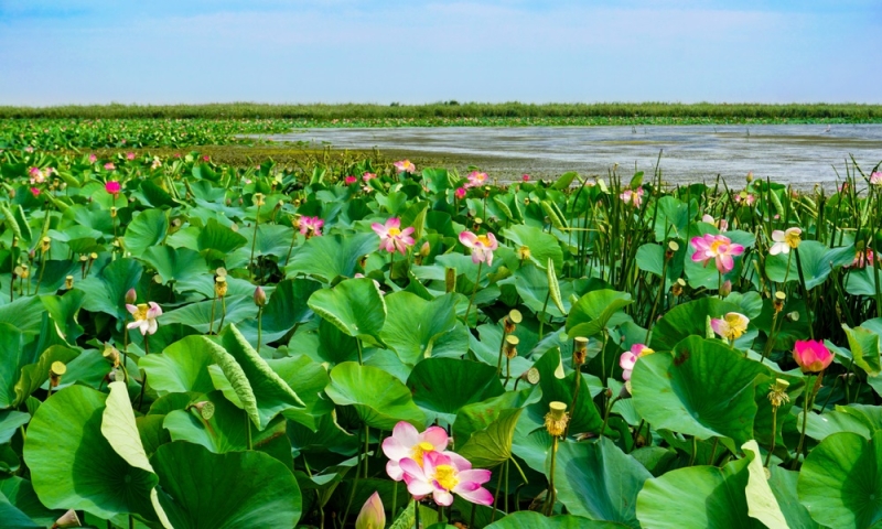 Unearthly beauty: amazing landscapes of Russia