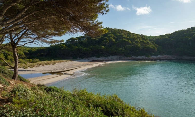 Waves, wind, sand: wild beaches of Spain