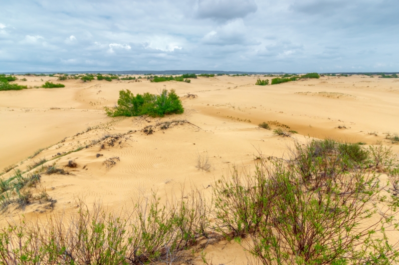 Where in Russia to sunbathe on dunes and dunes