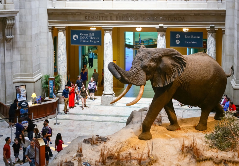 10 Best Museums for Children