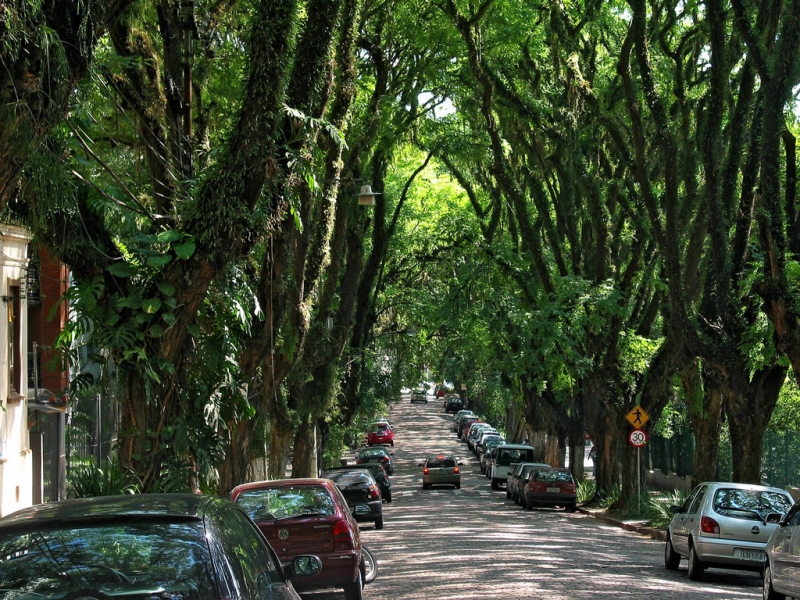 8 most interesting alleys and tunnels made of flowers and trees