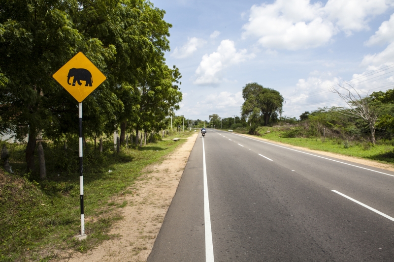 A practical guide to driving in Asia