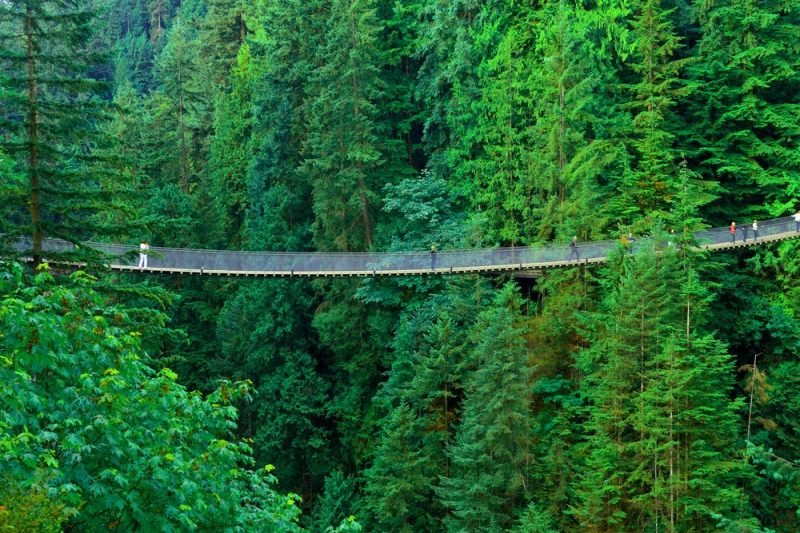 Don&#39;t pass by: 8 bridges you want to walk on