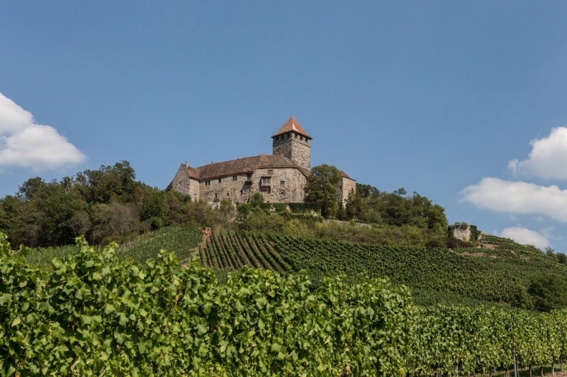 From Italy and France to Canada. Top destinations for wine lovers