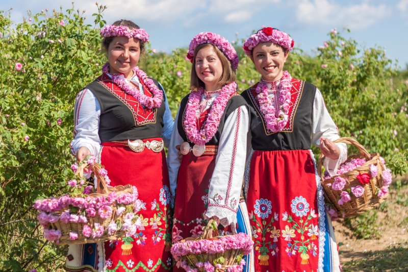 From tulips to jacarandas: flower festivals for every taste