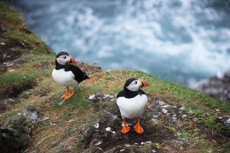 Holidays in Kamchatka in 2020: join the legends, conquer volcanoes and touch pristine nature