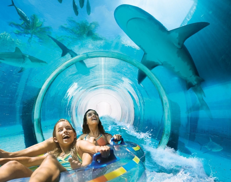 Relax and have fun: 8 amazing hotels with water parks