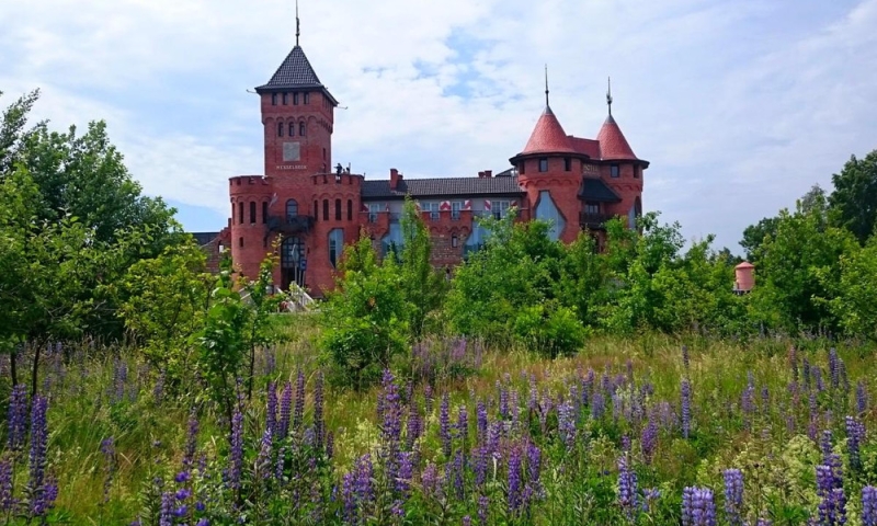 Stay in a library or a fairy tale kingdom: the most unusual hotels in Russia