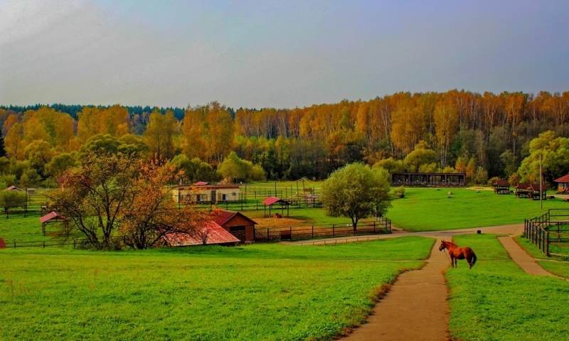 Theme parks in Russia for trips with children