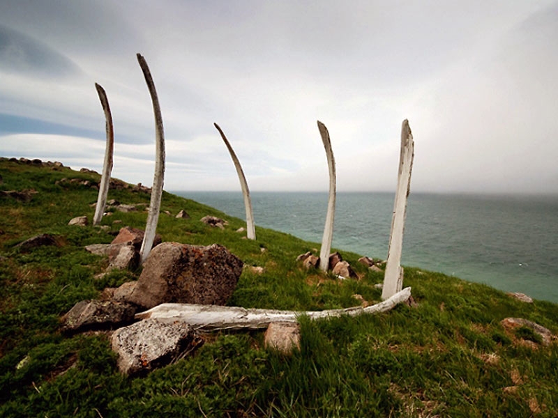 Whale Alley in Chukotka