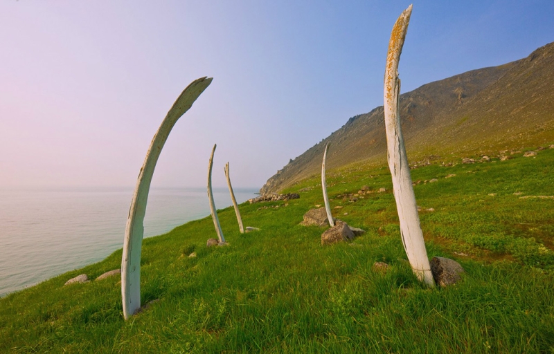 Whale Alley in Chukotka