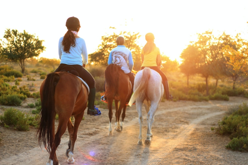 Where to go on vacation with children: 8 ideas for parents of toddlers and schoolchildren