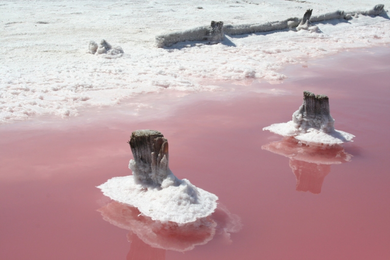 Wonders of colored lakes