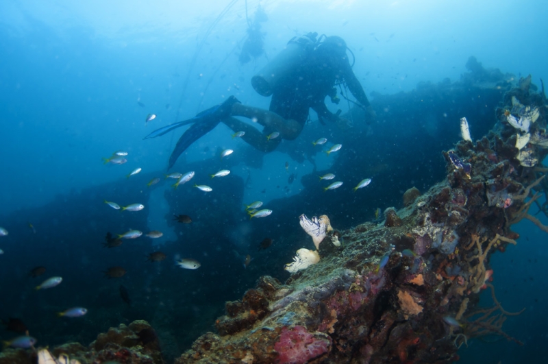 5 most unusual diving spots