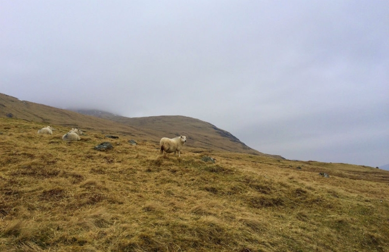 A trip to the filming locations of The Chronicles of Narnia