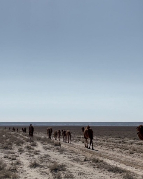 Adventures of a Kudablin participant in Aktau