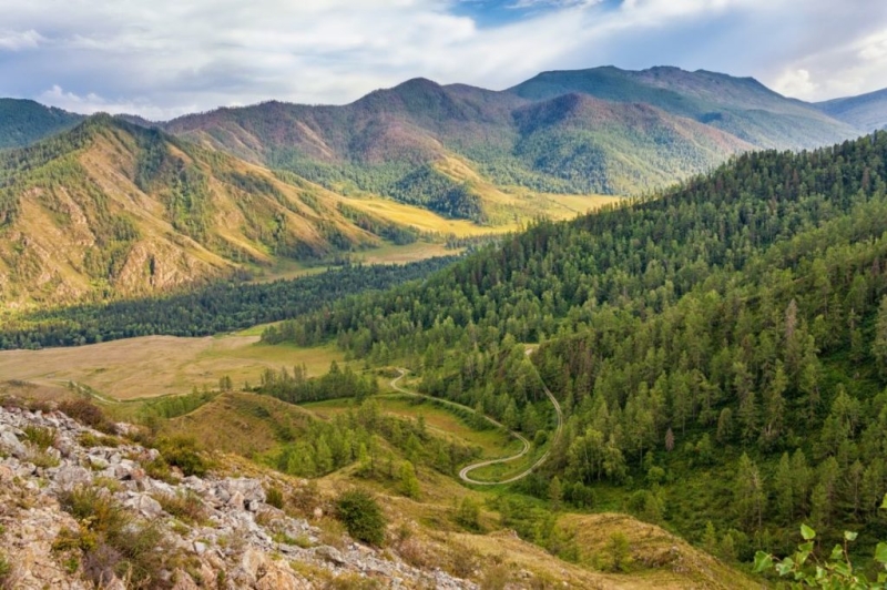 Adventures of a Kudablin participant in Altai