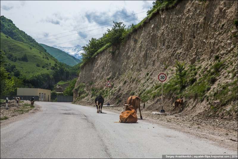 Adventures of a Kudablin participant in Chechnya. Part I