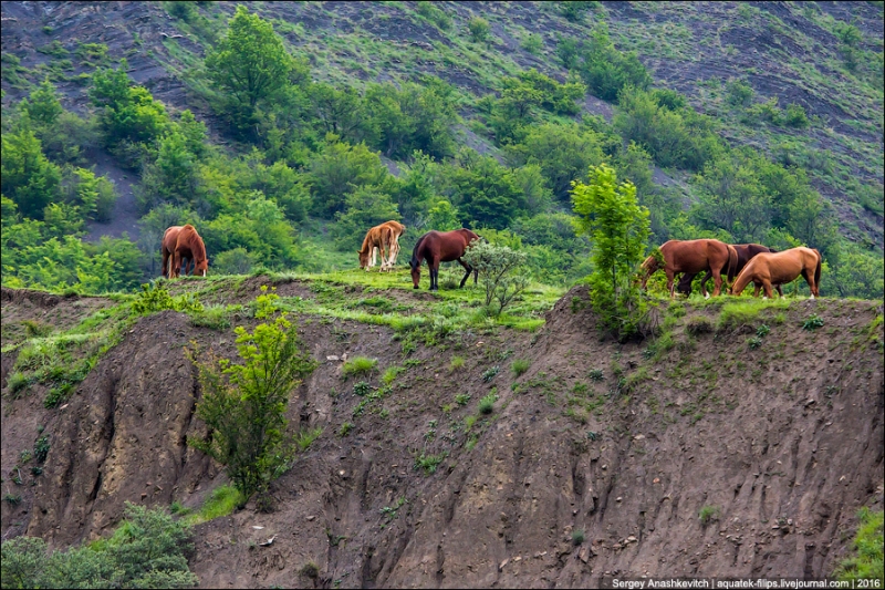 Adventures of a Kudablin participant in Chechnya. Part I