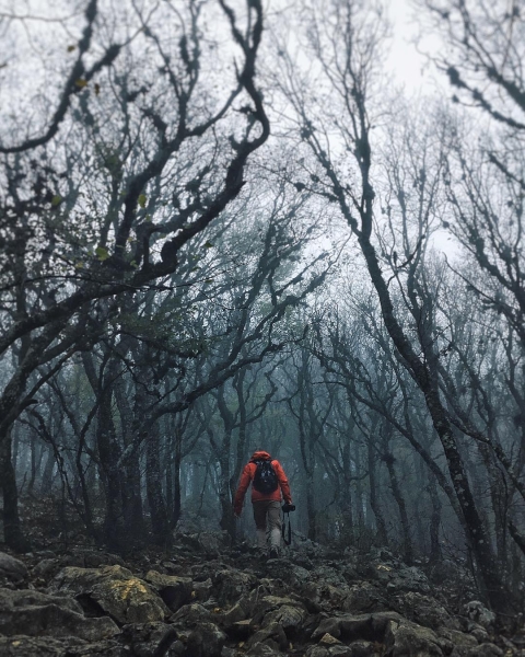 Adventures of a Kudablin participant in Crimea