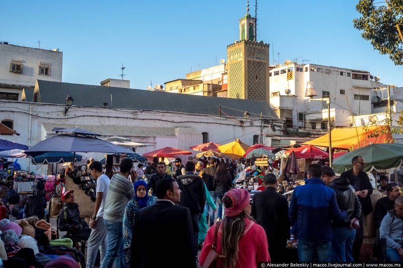 Adventures of a Kudablin participant in Morocco. Part II